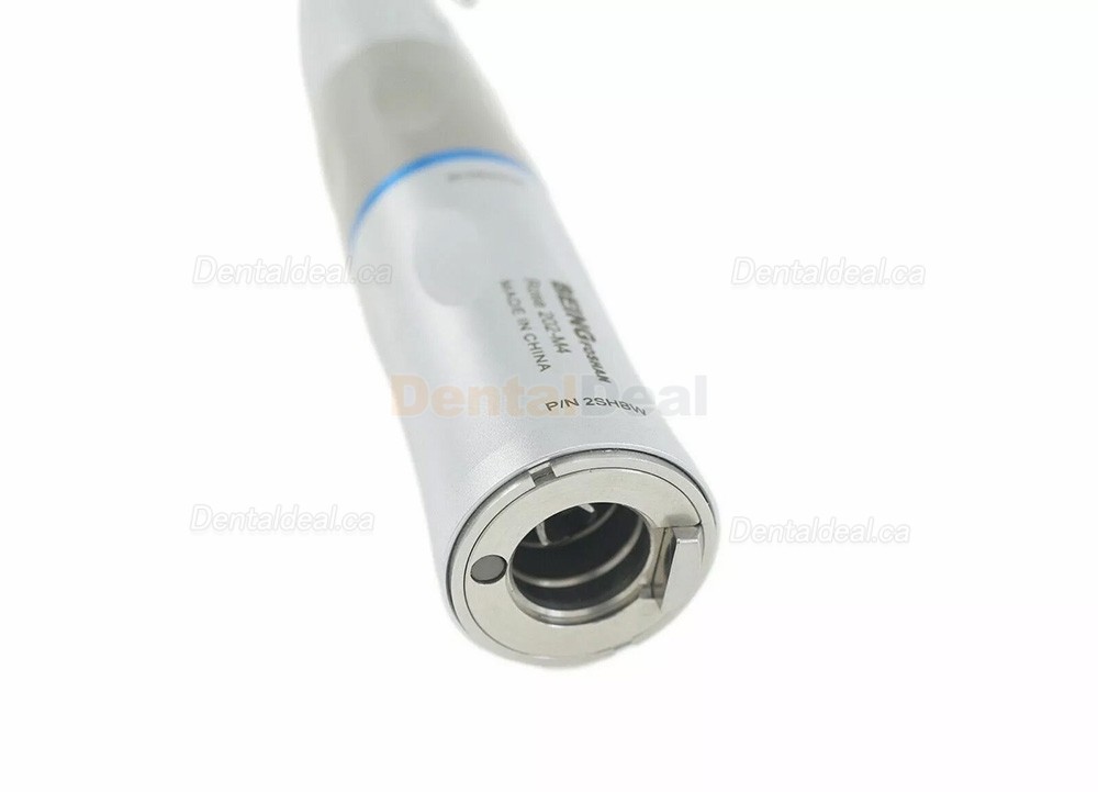 BEING 202SHBW Dental Straight Surgical Handpiece with LED Light